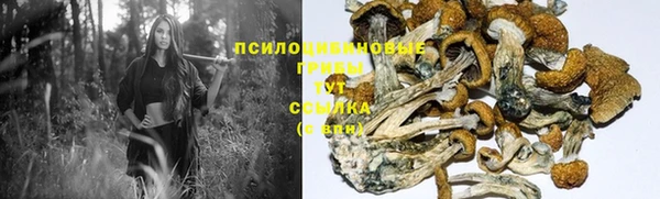 соль ск Медвежьегорск