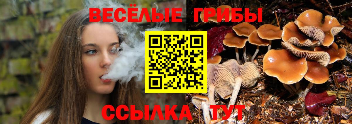 Галлюциногенные грибы Cubensis  Вход с VPN  Симферополь 